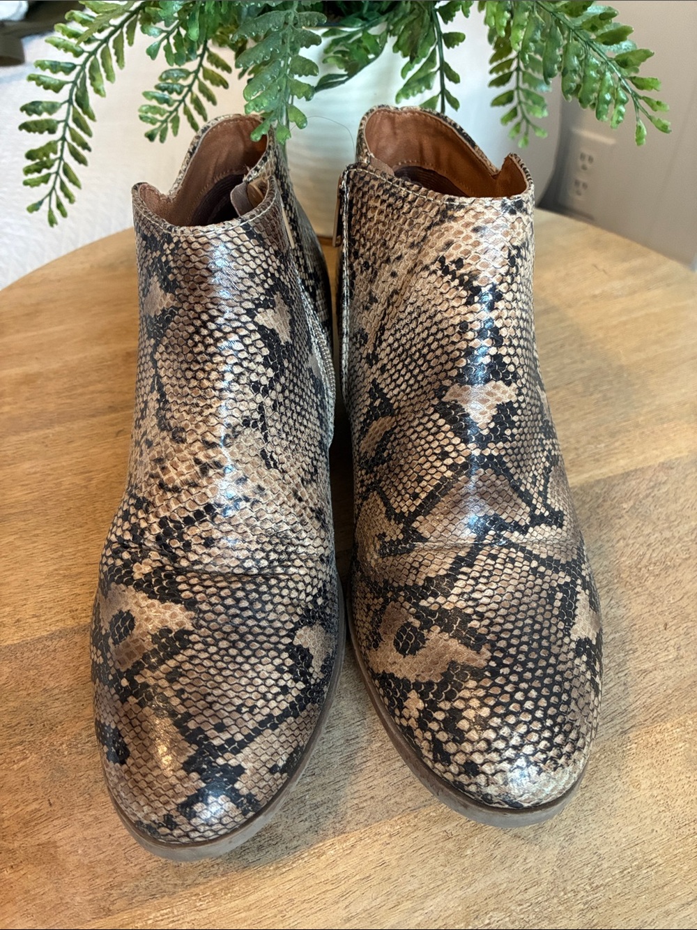 Soda Snake Print Ankle Boots in Tan & Black, Very Good Condition 8